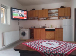 Spacious studio with patio